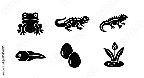 Amphibian Life Cycle Icons: Frog, Tadpole, Eggs, Newt, Plant