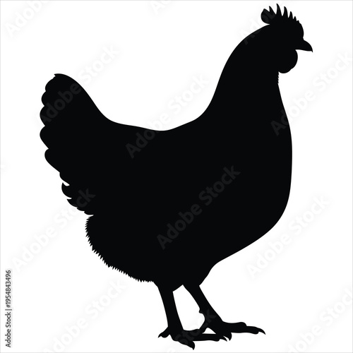 Black silhouette of a standing rooster or hen vector