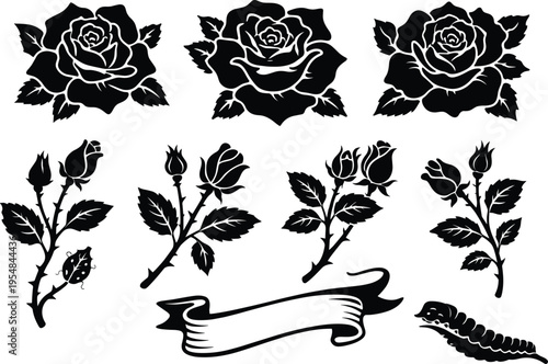 Rose and Floral Vector Illustration – Roses, Buds, Leaves, and Decorative Elements