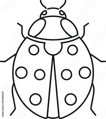 Detailed line drawing of a ladybug with black lines on white background