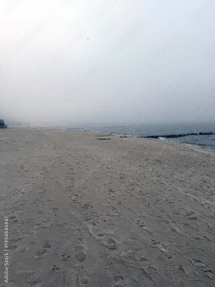 Fototapeta premium Empty sandy beach by the sea on a foggy day. Cold cloudy weather at the coast with horizon covered in mist. Nature silence and loneliness concept. Landscape scene of ocean shoreline.