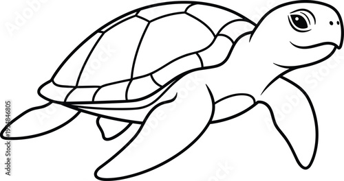 Smiling sea turtle swimming in ocean waters freely