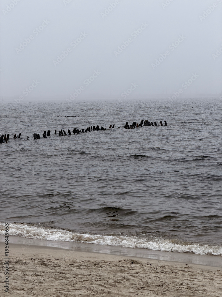 Fototapeta premium Empty sandy beach by the sea on a foggy day. Cold cloudy weather at the coast with horizon covered in mist. Nature silence and loneliness concept. Landscape scene of ocean shoreline.