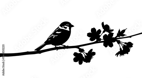 Bird Perched on Branch Silhouette.