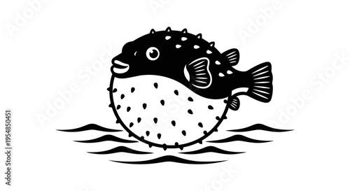 Black and white puffer fish.