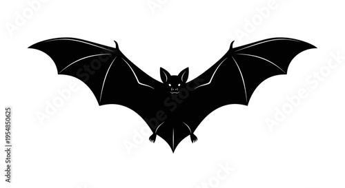Black Bat Flying Silhouette Closeup.