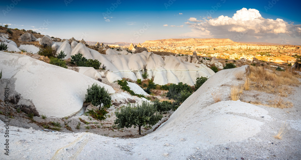 Fototapeta premium Cappadocia Turkey Valley Rock Formations Trees