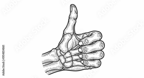 Human Skeleton Hand Giving Thumbs Up Gesture on Isolated White Background