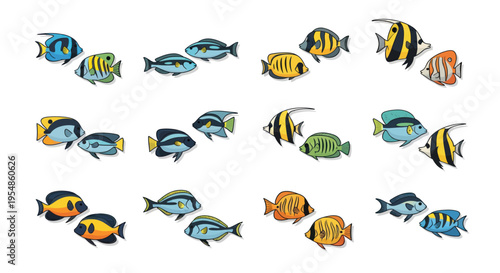 colorful fish swimming together