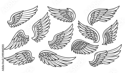 Heraldic wing outline vector set dynamic black and white angel bird wings for mascot tattoo design