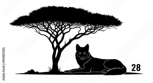 Black Cat Under Tree Shade.