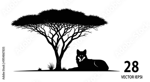 Black Cat Under Tree Silhouette.