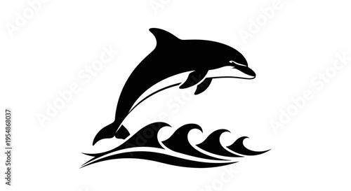 Black Dolphin Jumping Out Water 2.