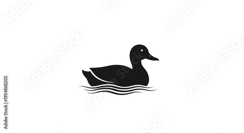 Black Duck Swimming Water.