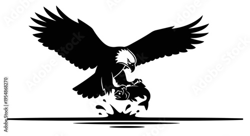 Black eagle in flight swooping.