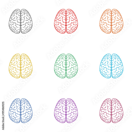 Human brain icon isolated on white background. Set icons colorful