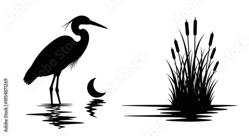 Black Heron Silhouette Standing Water.