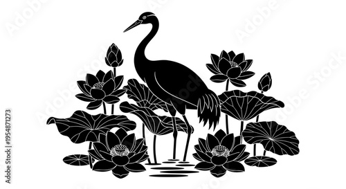 Black Heron in Lotus Pond.