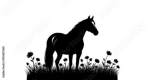 Black Horse Standing in Field.
