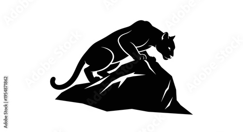 Black Panther on a Rock.