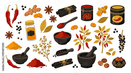 Set of organic spices and aromatic herbs for cooking and seasoning