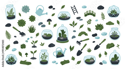 Terrarium garden elements and succulent plant collection set