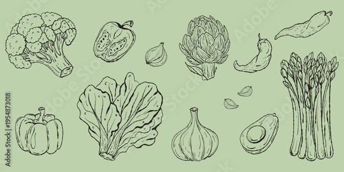 Rustic Hand-Drawn Vegetable Illustration Set. Artisan Asparagus, Garlic, and Artichoke Vector for Farm-to-Table Kitchen Branding
