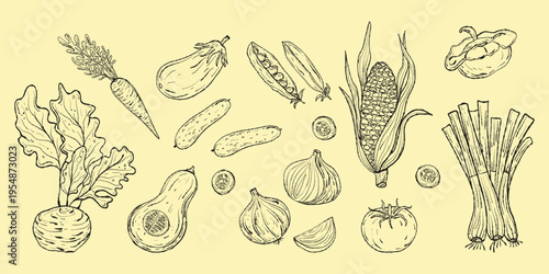 Vintage Hand-Drawn Garden Vegetable Set. Artisan Carrot, Corn, and Eggplant Vector for Organic Farm Market Branding and Culinary Decor