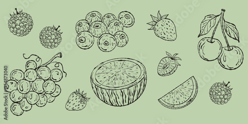 Boutique Hand-Drawn Berries and Fruit Illustration Set. Artisan Strawberry, Blueberry, and Watermelon Vector for Fresh Garden Branding