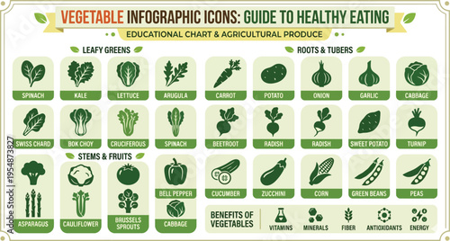 Healthy food guide concept. Vector flat modern illustration. Infographic of recomendation nutrition plan with percent labels. Colorful protein foods, fruit, vegetables and grains icon ... 
