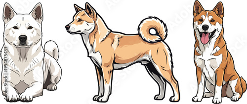 Korean Jindo dog standing side profile lying down sitting pose set