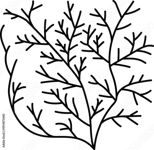 A simple black and white line art illustration of a leafless plant stem with many small branches