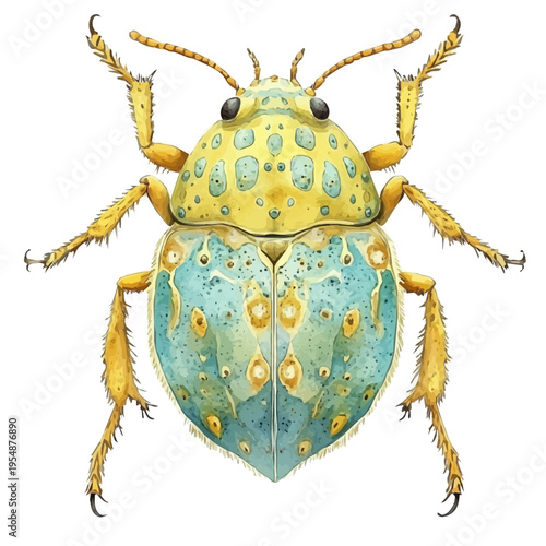 watercolor of Louse, vector, isolated on a white background.