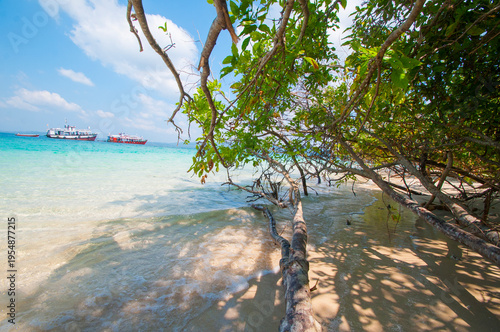 Quadro su tela Landscape of Jolly Buoy Island, Andaman and Nicobar, India.