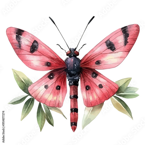 Lanternfly, watercolor vector, isolated on a white background.