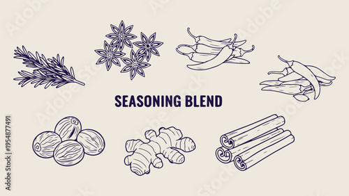 Seasoning blend and spices doodle set, cooking herbs hand drawn icons, kitchen flavorings and ginger sketches, food seasoning vector illustration collection, cinnamon and spice line art, culinary ingr