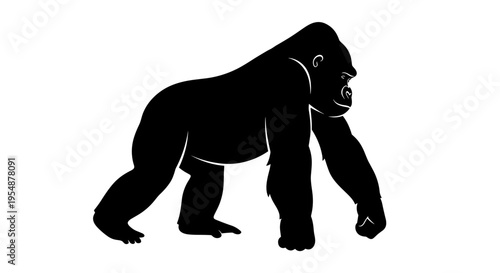 Large Gorilla Silhouette Walking Forward.