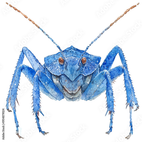 Giant Water Bug, watercolor vector, isolated on a white background.