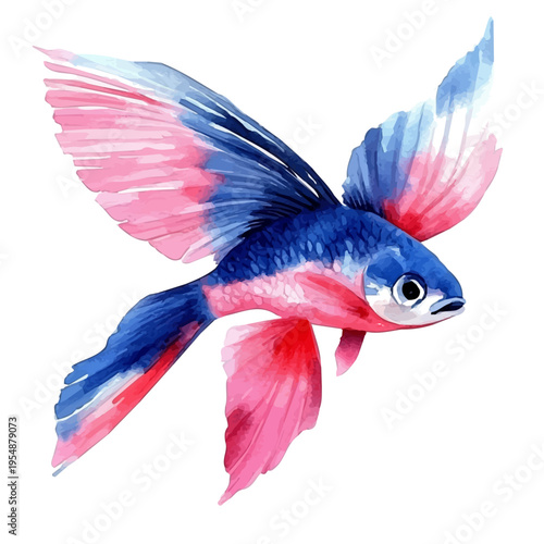 watercolor of Flying Fish, vector, isolated on a white background.