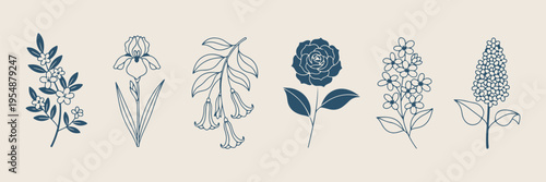 Rose and fuchsia, botanical flower sketches, garden bloom doodles, hand drawn floral duo, romantic nature illustration, wedding floral elements, organic plant graphics