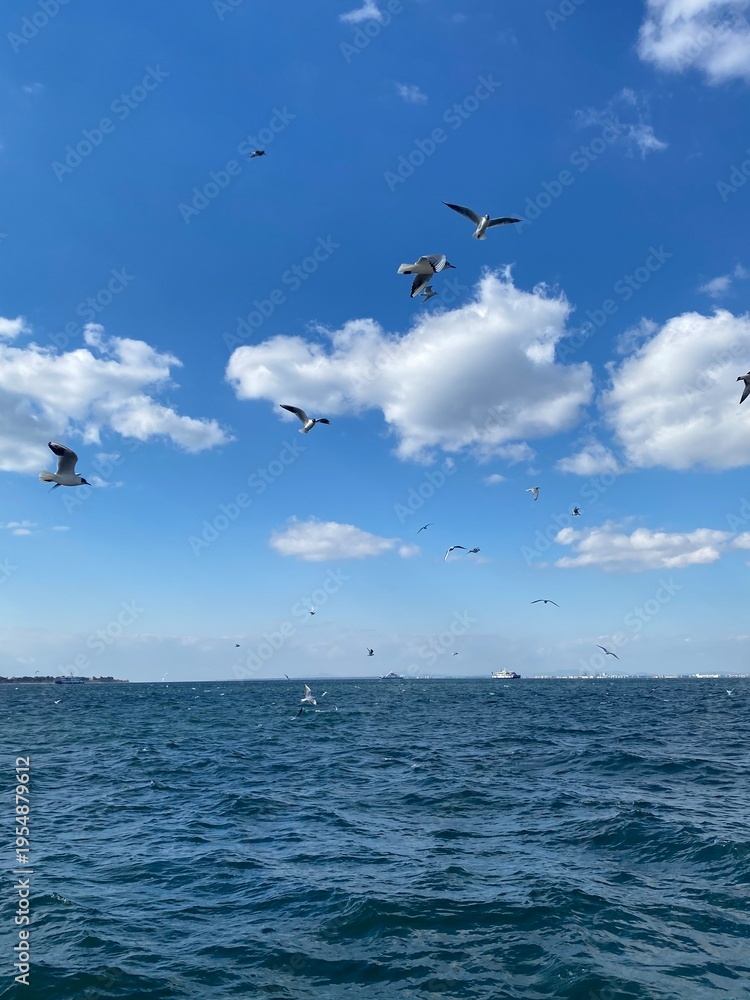 Fototapeta premium Seagulls flying over blue sea with dramatic cloudy sky, Izmir Turkey