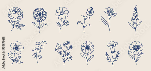 Minimalist spring flowers, delicate botanical sketches, garden bloom doodles, hand drawn floral icons, simple nature illustration, organic blossom elements, aesthetic floral graphics