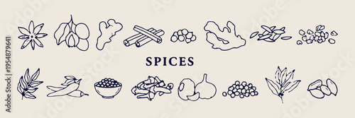 Kitchen spices and herbs, aromatic cooking ingredients, hand drawn spice doodles, culinary seasoning sketches, cinnamon and garlic icons, food flavoring illustration, organic herb graphics