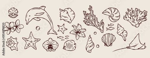 ea shells coral, marine nature sketches, ocean floor doodles, hand drawn beach elements, nautical texture illustration, summer sea graphics, coastal life sketches