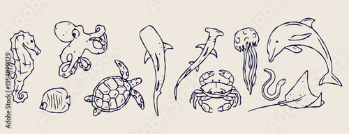 Ocean life creatures, shark and turtle sketches, marine animal doodles, hand drawn aquatic icons, underwater nature illustration, sea world graphics, nautical animal sketches