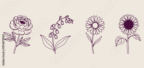 Spring garden flowers, botanical floral sketches, hand drawn blossom doodles, wildflower nature elements, aesthetic floral collection, organic plant illustration, garden bloom graphics