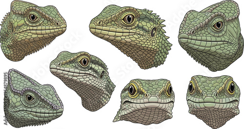Realistic Lizard Head Collection with Detailed Reptile Skin Texture, Natural Colors, and Wildlife Animal Portraits Vector Illustration Set