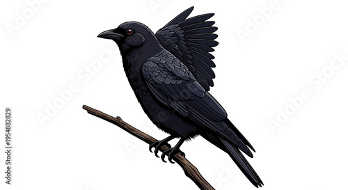 Detailed Illustration of a Black Crow Perched on a Branch