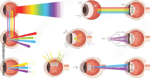 Color Vision and Light Spectrum Processing in Human Eye Showing Refraction, Retina Response, and Visual Perception Diagram