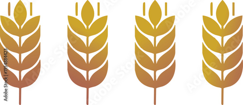 Wheats rye rice ears set icons design elements of organic agricultural food. Harvest wheat grain for beer logo, growth rice stalk and whole bread grains, barley field cereal nutritious - stock vector 